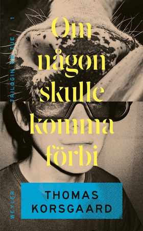 Om någon skulle komma förbi (e-bok) av Thomas K