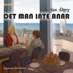 Det man inte anar (ljudbok) av Stefan Åberg
