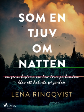 Som en tjuv om natten (e-bok) av Lena Ringqvist