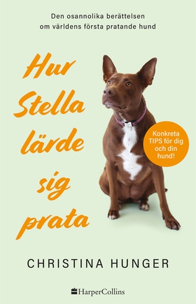 Hur Stella lärde sig prata (e-bok) av Christina