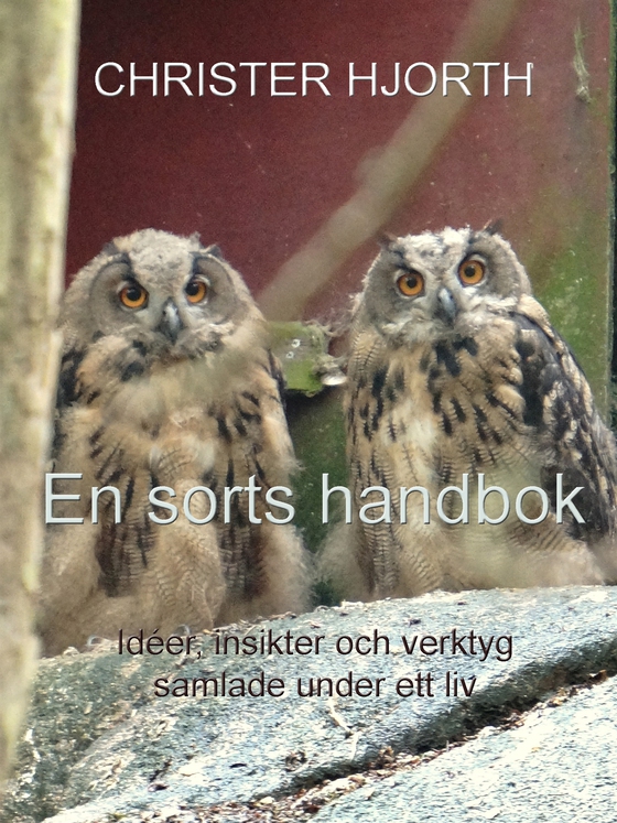 En sorts handbok: Idéer, insikter och verktyg samlade under ett liv