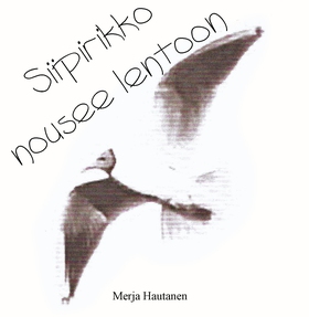 Siipirikko nousee lentoon: Osa 1 (e-bok) av Mer