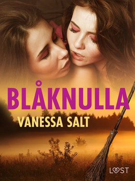 Blåknulla - påskerotik (e-bok) av Vanessa Salt