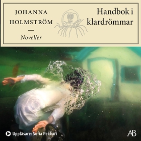 Handbok i klardrömmar (ljudbok) av Johanna Holm