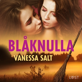 Blåknulla - påskerotik (ljudbok) av Vanessa Sal