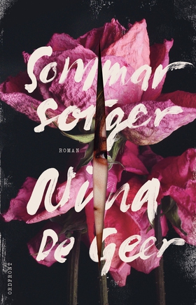 Sommarsorger (e-bok) av Nina De Geer