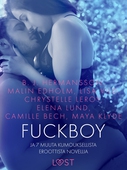 Fuckboy ja 7 muuta kumouksellista eroottista novellia