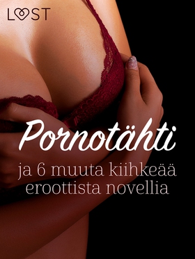 Pornotähti ja 6 muuta kiihkeää eroottista novel