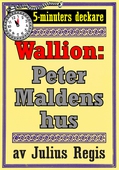 Problemjägaren Maurice Wallion: Peter Maldens hus. Novell från 1930