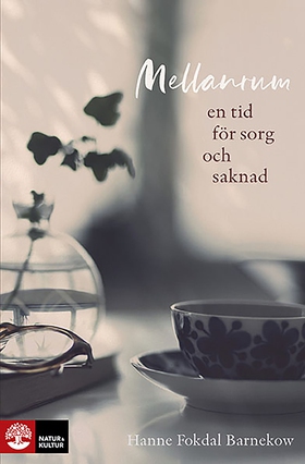 Mellanrum : En plats för sorg och saknad (e-bok