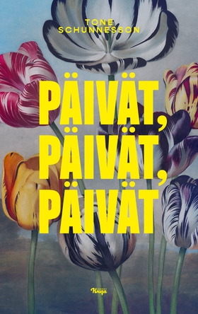 Päivät, päivät, päivät (e-bok) av Tone Schunnes