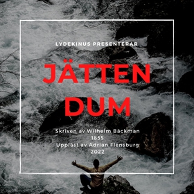 Jätten Dum x5 (ljudbok) av Wilhelm Bäckman