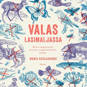 Valas lasimaljassa (ljudbok) av Maria Katajavuo