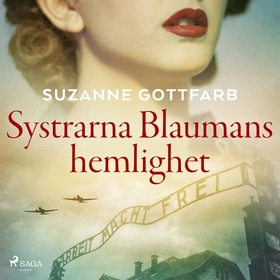 Systrarna Blaumans hemlighet (ljudbok) av Suzan