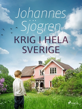 Krig i hela Sverige (e-bok) av Johannes Sjögren