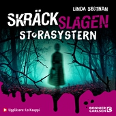 Storasystern