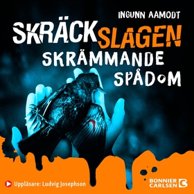 Skrämmande spådom (ljudbok) av Ingunn Aamodt