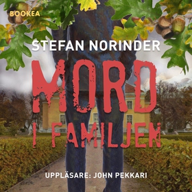 Mord i familjen (ljudbok) av Stefan Norinder