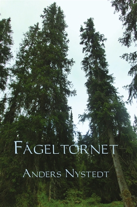 Fågeltornet (e-bok) av Anders Nystedt