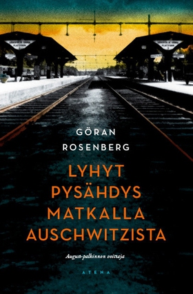 Lyhyt pysähdys matkalla Auschwitzista (e-bok)