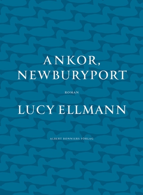 Ankor, Newburyport (e-bok) av Lucy Ellmann