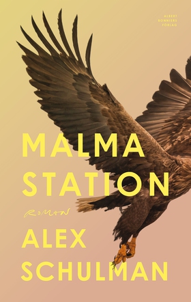 Malma station (e-bok) av Alex Schulman