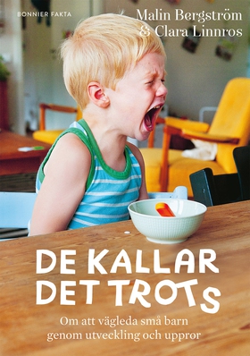 De kallar det trots : om att vägleda små barn g