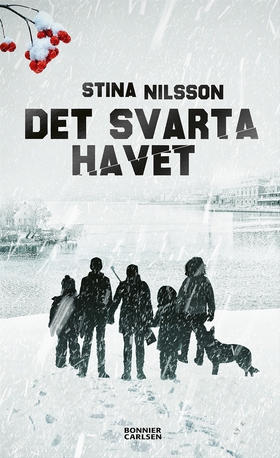 Det svarta havet (e-bok) av Stina Nilsson