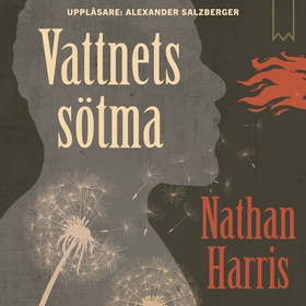 Vattnets sötma (ljudbok) av Nathan Harris