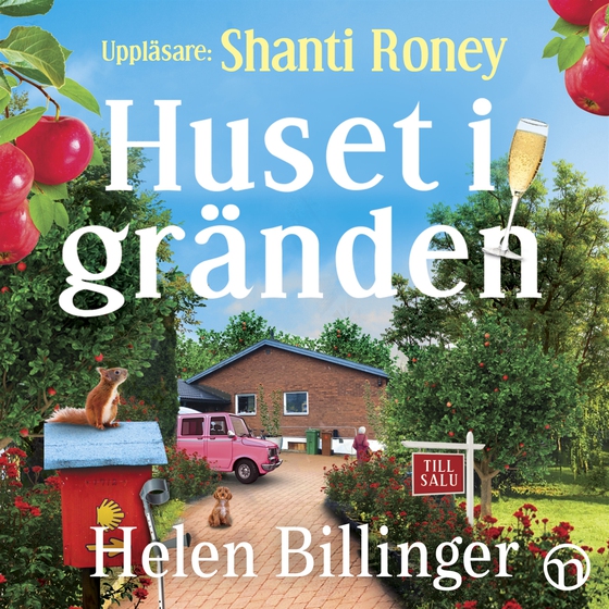 Huset i gränden: En grinig stockholmare