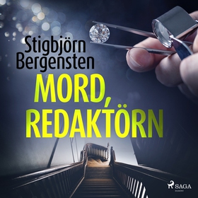 Mord, redaktörn (ljudbok) av Stigbjörn Bergenst
