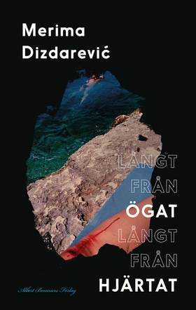 Långt från ögat långt från hjärtat (e-bok) av M