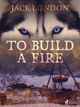 To Build a Fire (e-bok) av Jack London