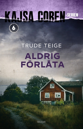 Aldrig förlåta (e-bok) av Trude Teige