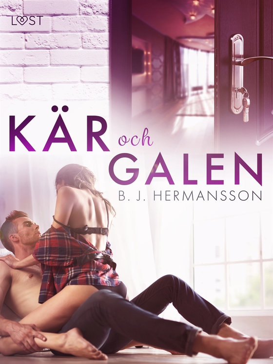 Kär och galen - erotisk romance (e-bok) av B. J. Hermansson
