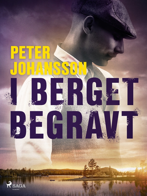 I berget begravt (e-bok) av Peter Johansson