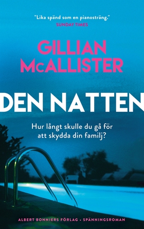 Den natten (e-bok) av Gillian McAllister