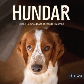 Hundar (lättläst) (ljudbok) av Helene Lumholdt