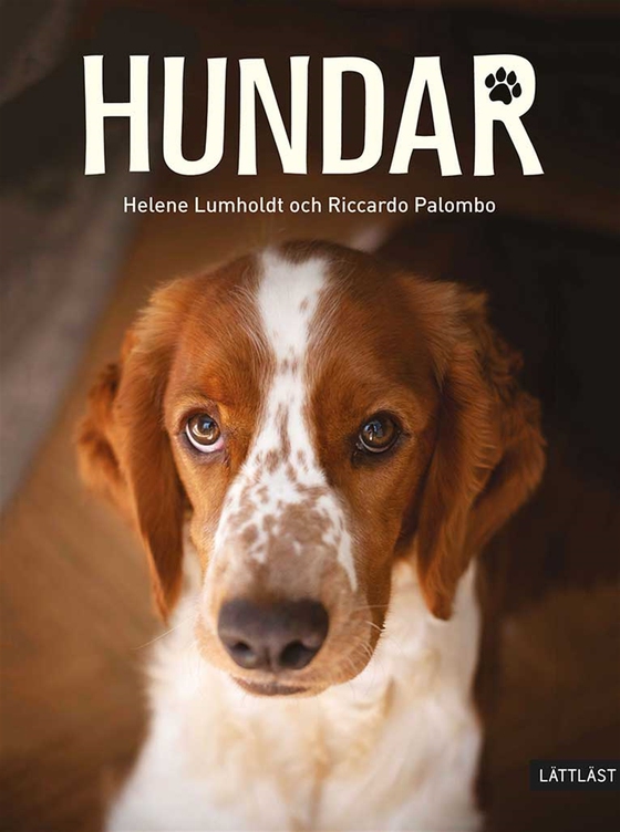Hundar (lättläst)