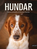 Hundar (lättläst)