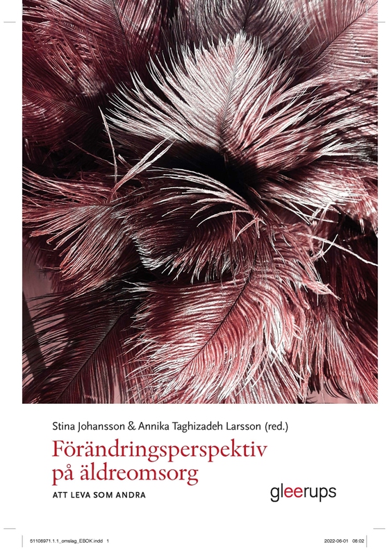 Förändringsperspektiv på äldreomsorg - att leva som andra