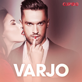 Varjo - eroottinen novelli (ljudbok) av Cupido