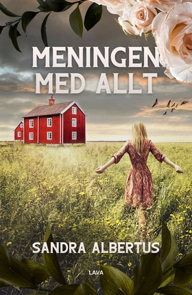 Meningen med allt (e-bok) av Sandra Albertus