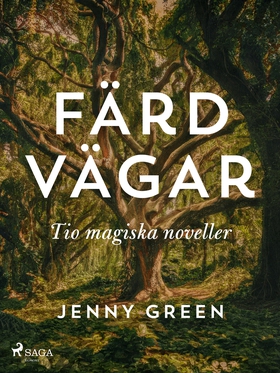 Färdvägar (e-bok) av Jenny Green