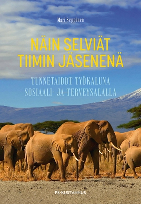 Näin selviät tiimin jäsenenä (e-bok) av Mari Se