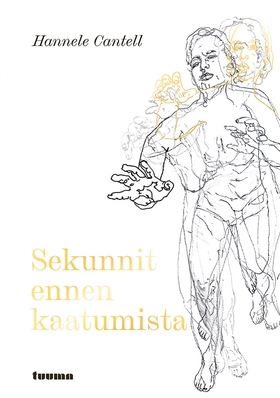 Sekunnit ennen kaatumista (e-bok) av Hannele Ca