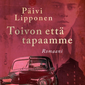 Toivon että tapaamme (ljudbok) av Päivi Lippone