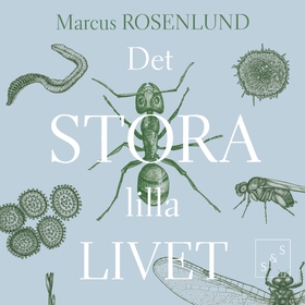 Det stora lilla livet (ljudbok) av Marcus Rosen