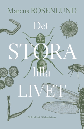 Det stora lilla livet (e-bok) av Marcus Rosenlu