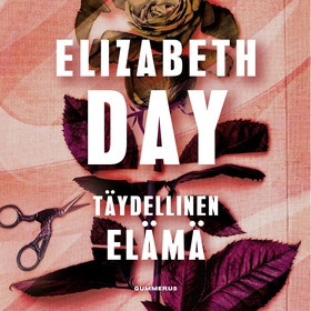 Täydellinen elämä (ljudbok) av Elizabeth Day